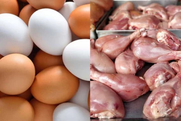 முட்டை மற்றும் கோழி இறைச்சியின் விலை சடுதியாக உயர்வு!