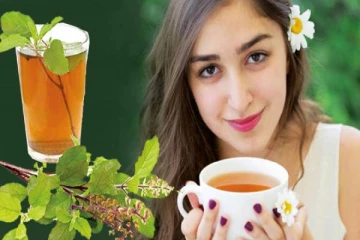 தினமும் துளசி இலைகளை சாப்பிடுவதால் என்ன நன்மைகள்? ஏதேனும் பக்க விளைவுகள் உள்ளதா?