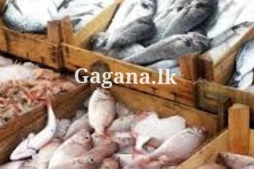 මුහුදු මාළු ගැන තීරණයක් ගත් චීනය..