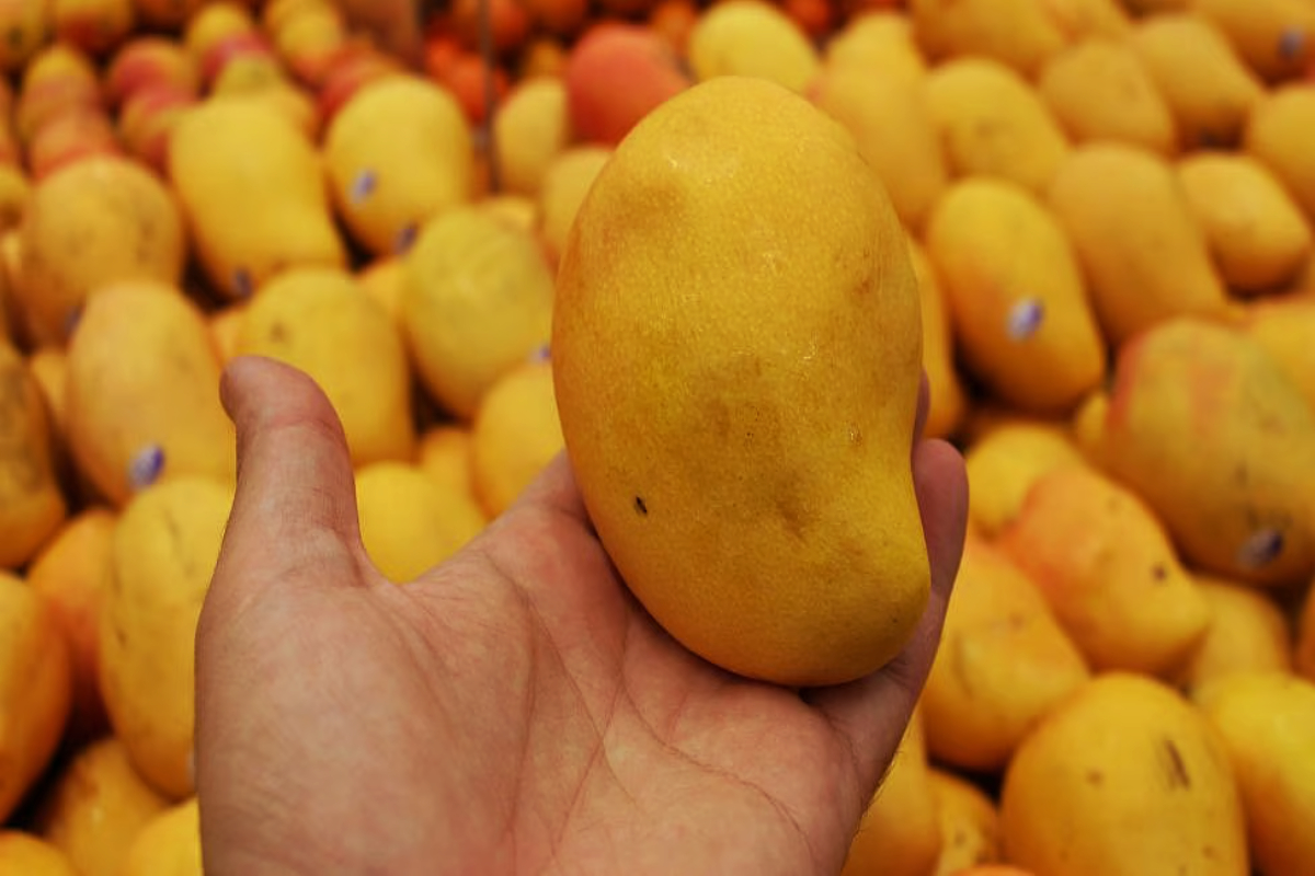உங்களுக்கு யூரிக் அமிலம் இருந்தால் மாம்பழம் சாப்பிடலாமா? | Can Eat Mangoes If You Have High Uric Acid Levels