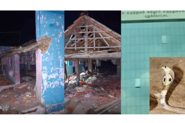 நல்ல பாம்பை அடிக்க போய் வீடே வெடித்து சிதறிய சம்பவம்! 5 பேரின் நிலை என்ன? | The House Exploded While Chasing Away The Snake
