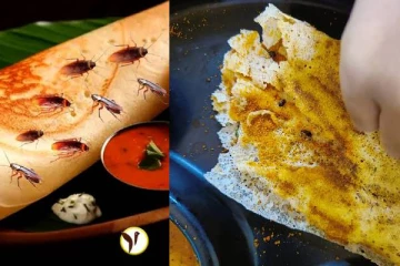 ஆர்டர் செய்த தோசைக்கு பதில் கரப்பான் பூச்சிகளை பரிமாறிய உணவகம் - viral video