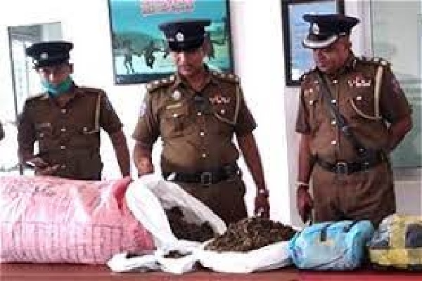 ஏ-9 வீதியில் கஞ்சா கடத்திய சிறிலங்கா இராணுவ , கடற்படை சிப்பாய்கள் கைது | Army Navy Caught With 50 Lakh Cannabis