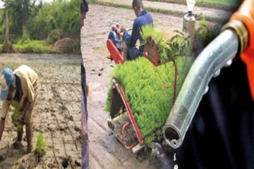 වී ගොවීන් හත් ලක්ශ ගණනකට සහනාධාර..