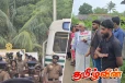 தையிட்டியில் வெடித்த போராட்டம் : பெருமளவில் குவிக்கப்பட்டுள்ள பொலிஸார் - LIVE