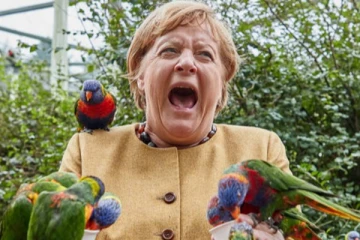 ஒரே கொத்து, கதறிய ஏஞ்சலா மெர்கெல்! தேர்தல் பிரச்சாரத்திற்கு சென்றபோது நடந்த வேடிக்கை சம்பவம்..