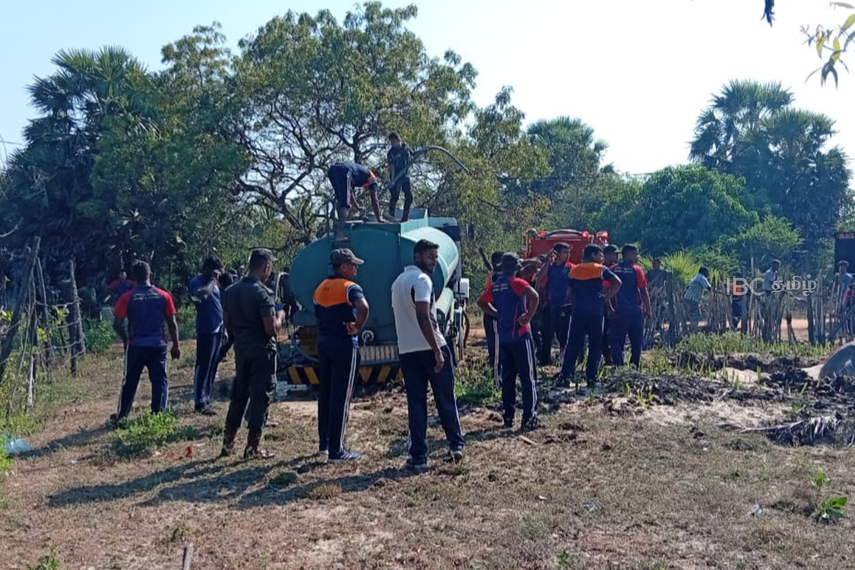 பாரிய தீ விபத்து - 500 க்கும் மேற்பட்ட பனை மரங்கள் எரிந்து நாசம் | More Than 500 Palmera Trees Got Fired In Mannar பாரிய தீ விபத்து - 500 க்கும் மேற்பட்ட பனை மரங்கள் எரிந்து நாசம் | More Than 500 Palmera Trees Got Fired In Mannar