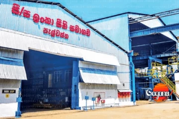 සීනි හා සංචාරක අත්දැකීම් එකම ගමනක