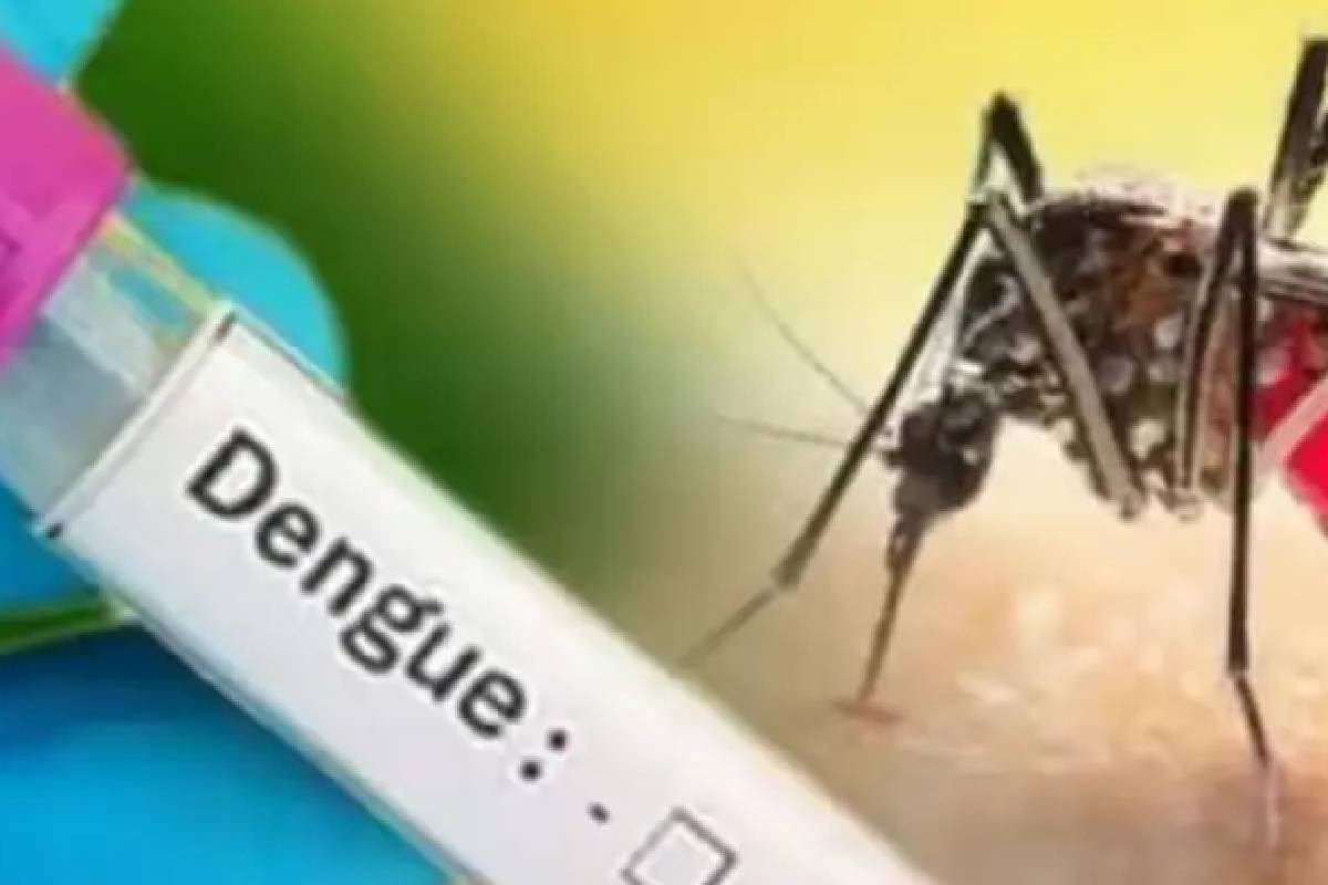 டெங்கு ஆபத்து பகுதிகளை அறிவிக்க புதிய இலக்கம் அறிமுகம் | New Number To Report Dengue Risk Areas