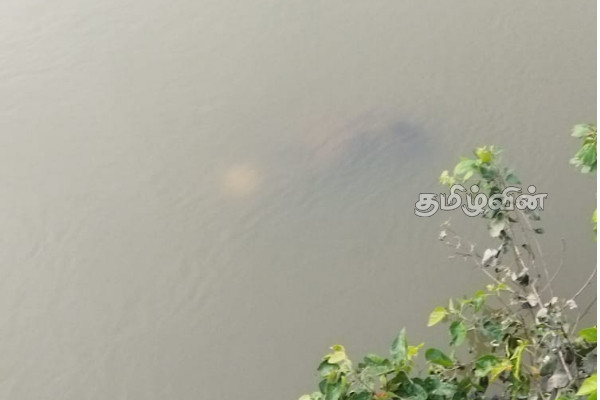 மீன்பிடிக்க சென்றவர் சடலமாக மீட்பு(Photos) | The Dead Body Of The Person Recovered