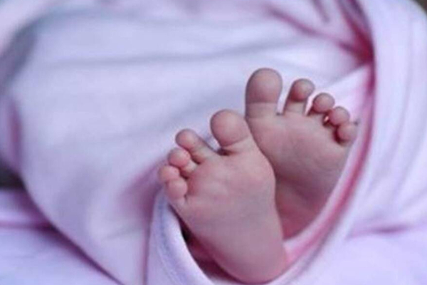சினிமாவை மிஞ்சிய சம்பவம்; 80 குழந்தைகளைக் கடத்தி விற்ற பெண்; பகீர் தகவல் | A Woman Who Kidnapped And Sold 80 Children Andhra