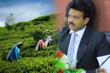 தோட்டத் தொழிலாளர்களுக்கு ரூ. 350ஐயும் நிச்சயம் பெற்றுக்கொடுப்போம்: செந்தில் தொண்டமான் உறுதி