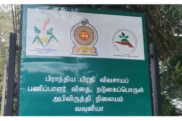 வவுனியா மாவட்டத்தில் 90 ஆயிரம் கிலோகிராம் விதை உளுந்து கொள்வனவு: பிரதி விவசாயப்பணிப்பாளர் (Video)
