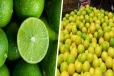 தேசிக்காயின் விலையில் ஏற்பட்டுள்ள சடுதியான மாற்றம்