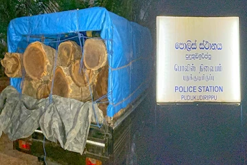 முல்லைத்தீவில் சட்டவிரோத மரக்கடத்தல்: பொலிஸாரால் முற்றுகை