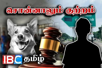 ஆட்டை கடித்த நாயை தூக்கிலிட்டவர்கள்...!சிறுமிகளை வேட்டையாடும் ஓநாய்கள் மீது கைவைப்பார்களா
