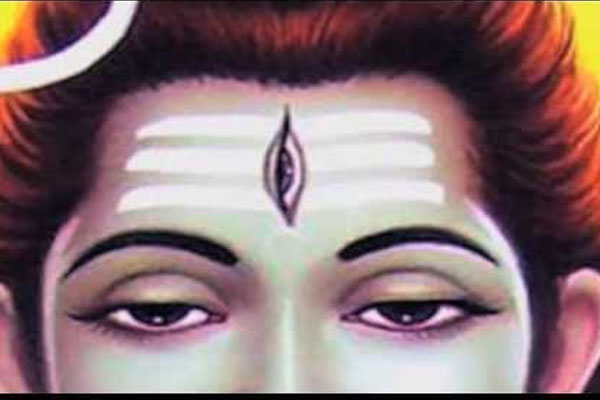 இந்த 8 பொருட்களும் சிவனுடன் இருப்பதற்கு இது தான் காரணமா? | Reason Why These 8 Objects Are With Shiva