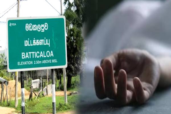 மட்டக்களப்பில் காட்டு யானை தாக்குதல்: ஒருவர் உயிரிழப்பு- இருவர் வைத்தியசாலையில் அனுமதி | Wild Elephant Attack In Batticaloa