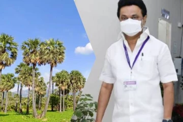 தமிழகத்தில் பனை மரங்களை வெட்ட தடை! தமிழக முதல்வர் அறிவிப்பு