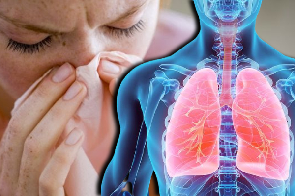 தீராத நெஞ்சு சளியால் அவதிப்படுபவர்களா? இனி கவலை வேண்டாம் - இதை மட்டும் செய்தால் போதும்.. - ஐபிசி தமிழ்