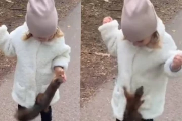 உச்சக்கட்ட மகிழ்ச்சியில் துள்ளி குதிக்கும் குட்டி தேவதை! சிறுமி மீது ஏறி கையில் இருந்த உணவை வாங்கும் காட்சி