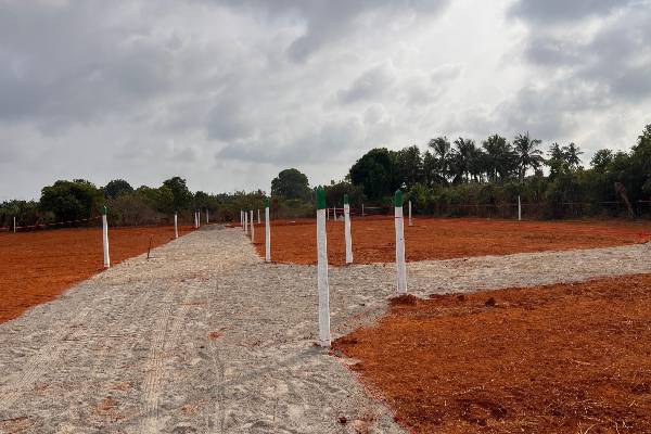 இலங்கையில் காணி விலைகளில் ஏற்பட்டுள்ள மாற்றம் | Rising Land Prices In Colombo