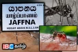 யாழ் மாவட்டத்திற்கு விடுக்கப்பட்டுள்ள எச்சரிக்கை : சடுதியாக அதிகரிக்கும் டெங்கு காய்ச்சல்!