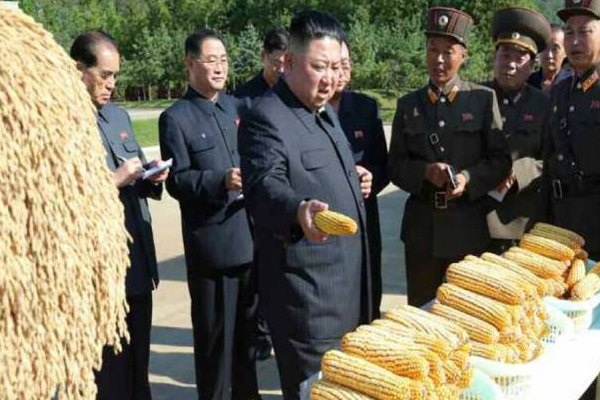வடகொரியர்கள் தொடர்பில் வெளியான அதிர்ச்சி தகவல்! | North Korea Food Shortage People Dying Starvation