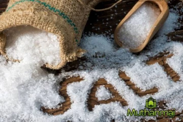 உப்பு இறக்குமதிக்கு அமைச்சரவை வழங்கியுள்ள விசேட அனுமதி