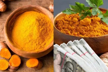 நிதி நெருக்கடியினால் அவதிப்படுகிறீர்களா? மஞ்சள் செய்யும் அற்புதம்