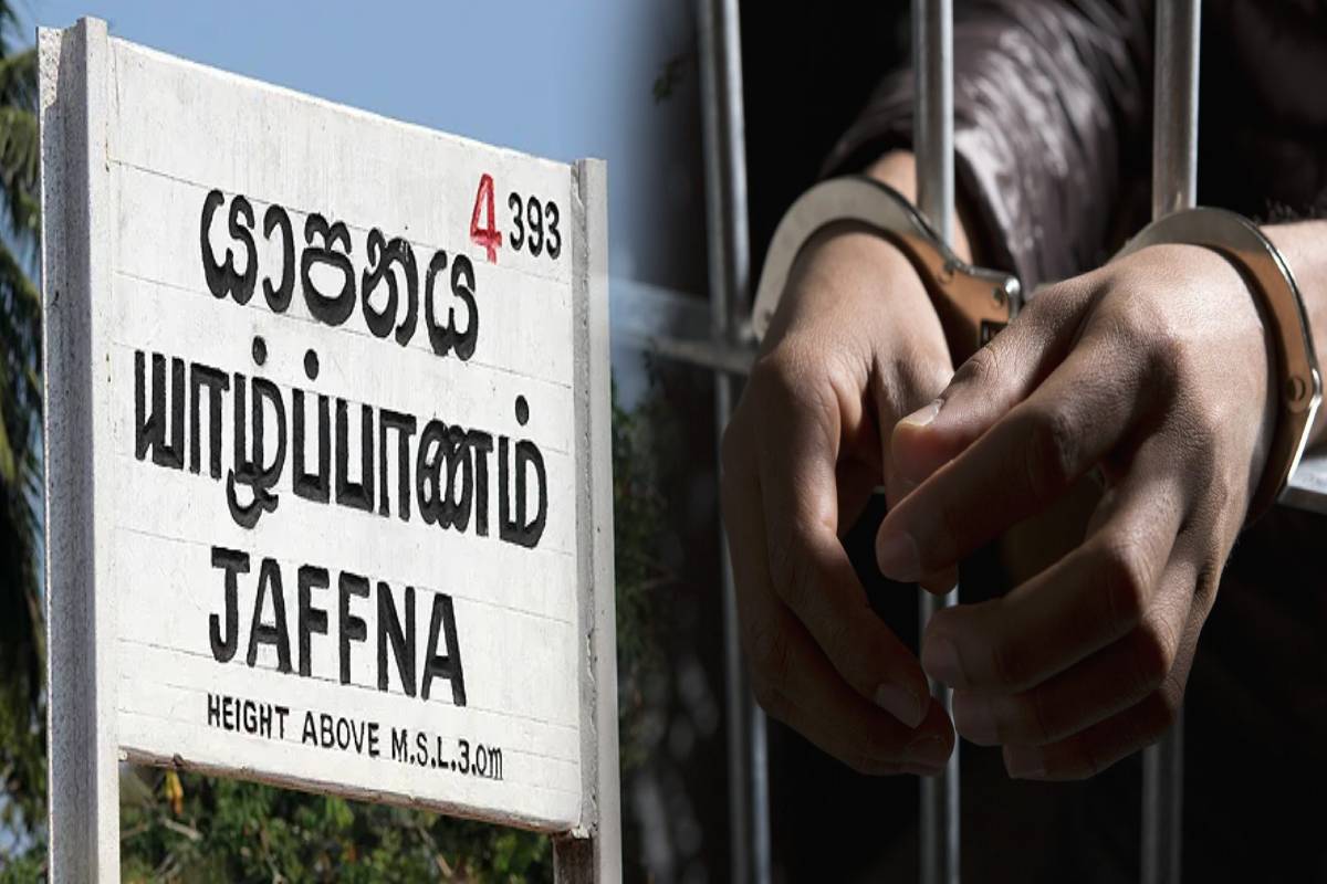 யாழில் 368 கிலோ கஞ்சாவுடன் ஒருவர் கைது! இருவர் தப்பியோட்டம் | Arrested With 368 Kg Of Ganja In Jaffna