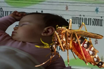 யாழ்ப்பாணத்தில் 11 மாத குழந்தைக்கு நேர்ந்த துயரம்