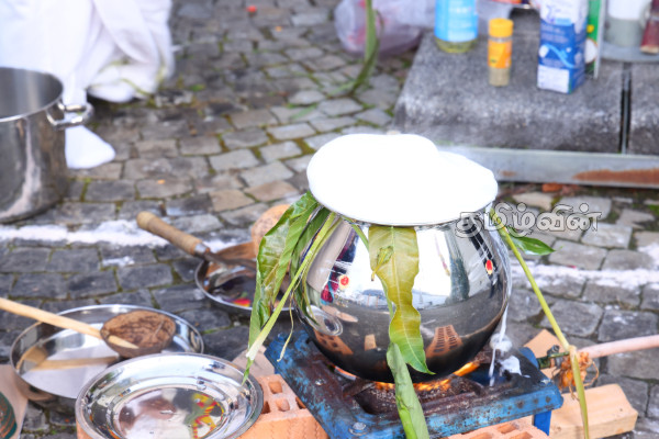 சுவிற்சர்லாந்தில் இடம்பெற்ற தமிழ்க் கல்விச்சேவை - தமிழ்ச்சங்கத்தின் பொங்கல் விழா | Pongal By Tamil Forum Ed Service In Switzerland