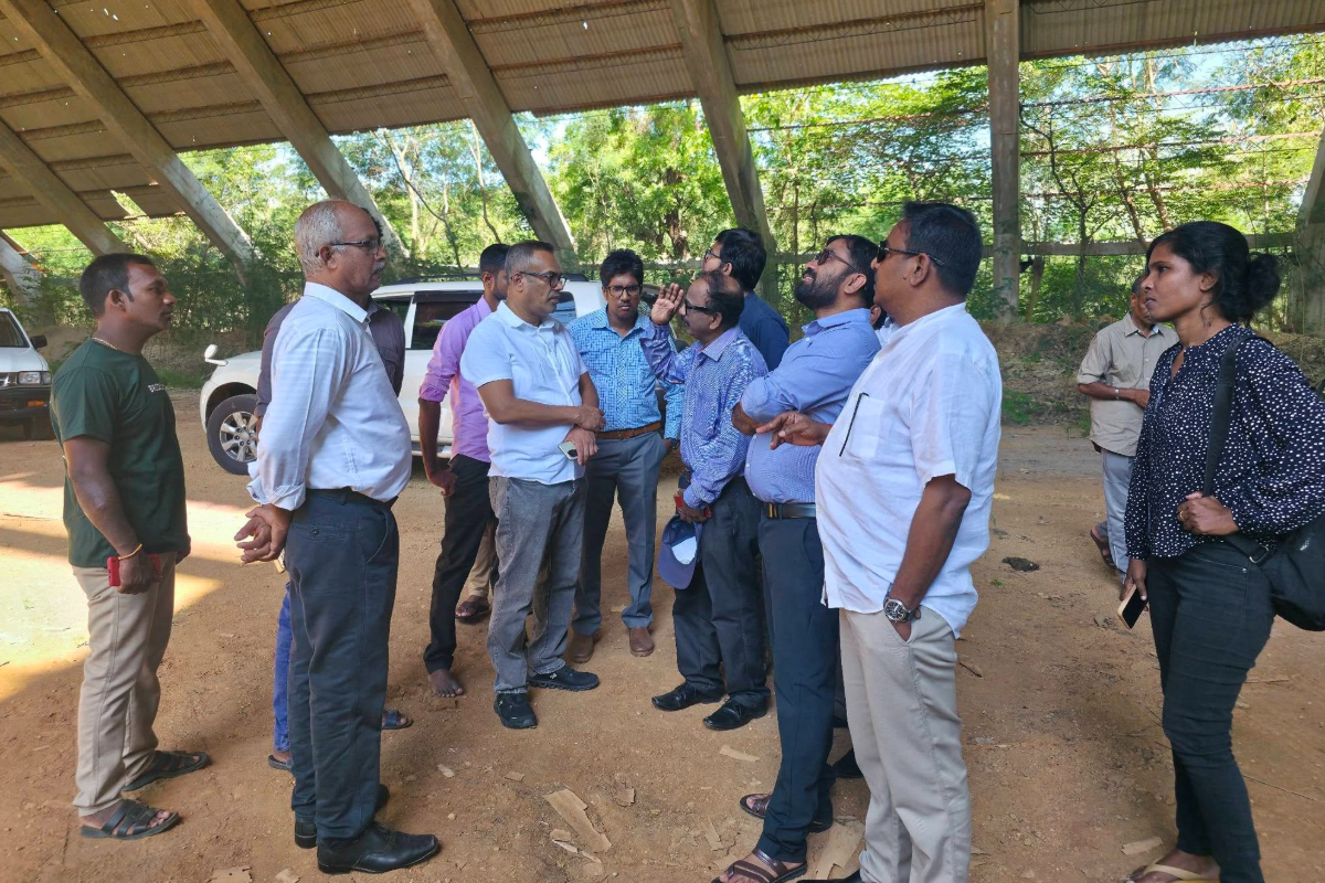மூன்று தசாப்தங்களுக்கு மேலாக கைவிடப்பட்ட யாழ் காங்கேசன்துறை சீமெந்து தொழிற்சாலையில் ஏற்படவுள்ள மாற்றம்! | Changes Awaiting The Kankesanthurai Cement Factory