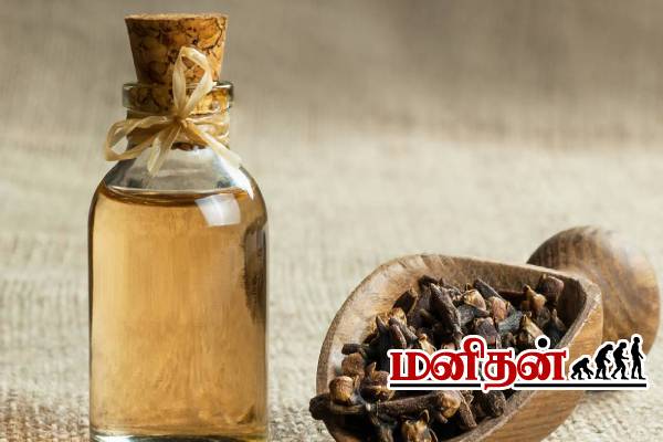 கிராம்பு சாப்பிடும் முன் கவனம்! சிலருக்கு இது விஷம் ஆகலாம்- மருத்துவர் எச்சரிக்கை | Who Should Avoid Cloves In Tamil