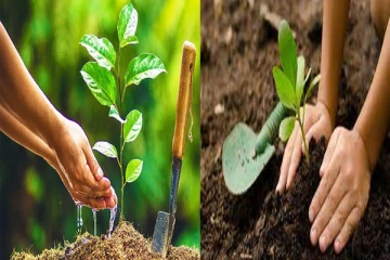 இலங்கை முழுவதும் மரநடுகை மேற்கொள்ளும் தென்னாபிரிக்க பிரஜை