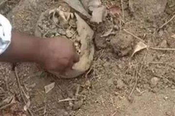 நிலத்தை தோண்டும் போது கிடைத்த பழமை வாய்ந்த தங்கப் புதையல்!