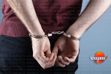 හිටපු ලොක්කෙක් අත්අඩංගුවට