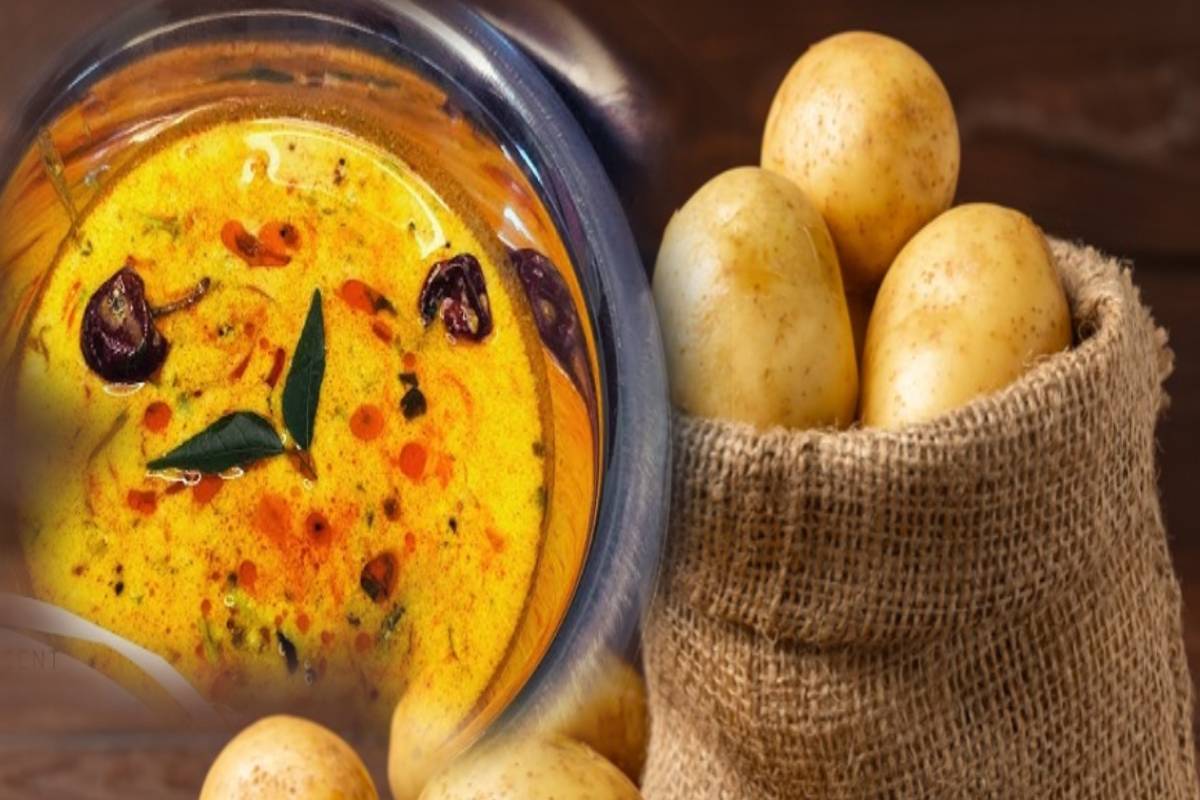 நாவூரும் சுவையில் உருளைக்கிழங்கு தயிர் குழம்பு... பண்ணலாமா? | Tasty Potato Curd Curry Recipe In Tamil