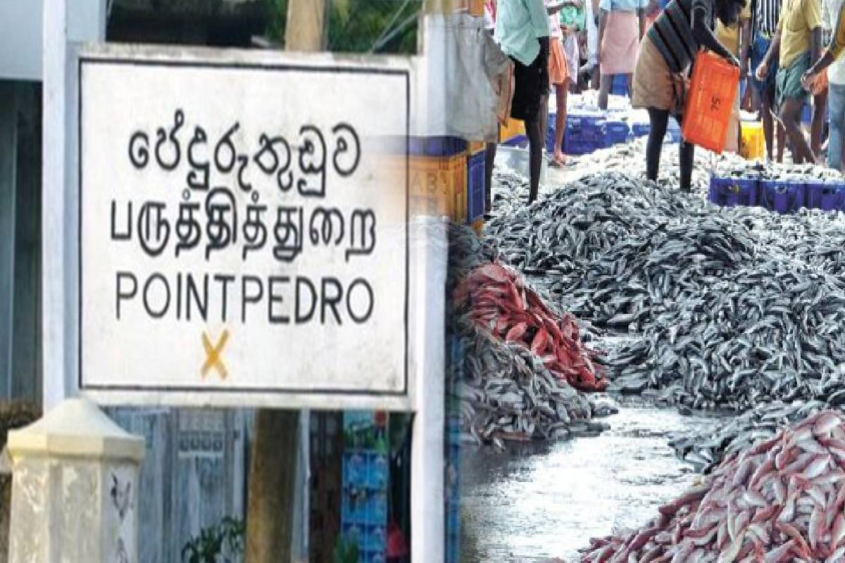 பருத்தித்துறை மீன் சந்தை வியாபாரிகள் பிரச்சினைகளுக்கு விரைவில் தீர்வு - முக்கிய கலந்துரையாடல் | Pedro Fish Market Traders Problem