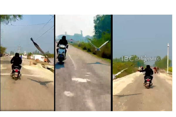 crane-uttar-pradesh-viral-video crane-uttar-pradesh-viral-video