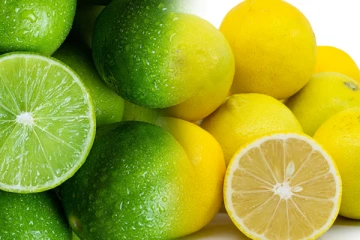 இலங்கையில் பாரியளவில் அதிகரித்த எலுமிச்சையின் விலை