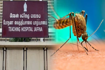 யாழில் அதிகரித்த டெங்கு காய்ச்சல்: பொதுமக்களுக்கு விடுக்கப்பட்டுள்ள எச்சரிக்கை