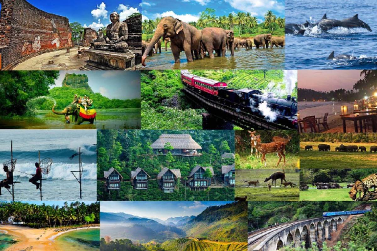 நாட்டில் சுற்றுலா பயணிகளின் எண்ணிக்கை அதிகரிப்பு | Increase In The Number Of Tourists In Sri Lanka நாட்டில் சுற்றுலா பயணிகளின் எண்ணிக்கை அதிகரிப்பு | Increase In The Number Of Tourists In Sri Lanka