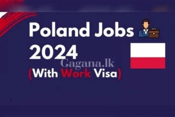 රට රැකියාවකට යන්න ඔබත් මේ අයට මුදල් දුන්නාද..(VIDEO)