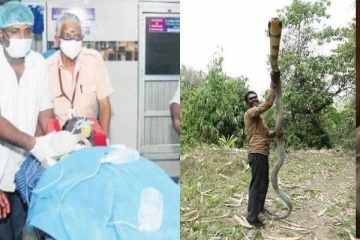 பாம்பு பிடி மன்னனுக்கு ஒரு நொடியில் நேர்ந்த கதி - ஆபத்தான நிலையில் சிகிச்சை!