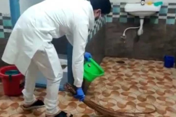 கழிவறையில் தூய்மை பணி செய்த எம்.எல்.ஏ - காரணம் இதுதானா?