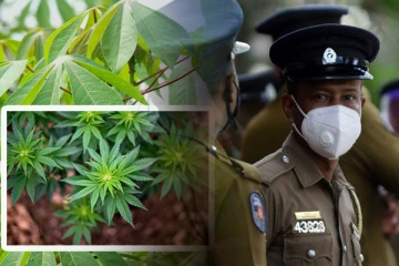 பொலிஸாருக்கு கிடைத்த இரகசிய தகவல்: 26 வயது இளைஞர் கைது