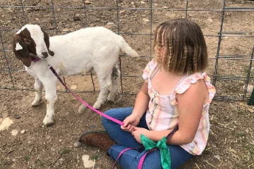 சிறுமி செல்லமாக வளர்த்த ஆடு; 3 லட்சம் அமெரிக்க டாலர் இழப்பீடு