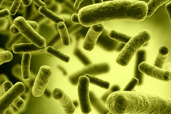 முட்டைகளை மறந்தும் கூட குளிர்சாதன பெட்டியில் வைக்ககூடாதாம்! ஏன் தெரியுமா? | Do Not Forget To Put The Eggs In It Too முட்டைகளை மறந்தும் கூட குளிர்சாதன பெட்டியில் வைக்ககூடாதாம்! ஏன் தெரியுமா? | Do Not Forget To Put The Eggs In It Too